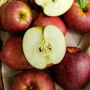 청송 감홍 사과 10kg 26-30과 대과 정품 청송 꿀사과 감흥사과 햇사과 청송 사과 한박스 고당도사과