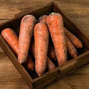 [아삭달큰] 맛있는 국내산 제주 구좌당근 5kg (중)