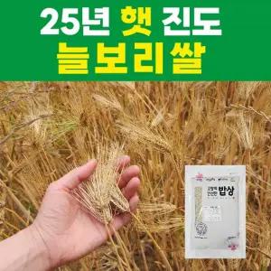 [2025 햇]산들바람 진도 늘보리쌀 800gx6봉_산지직송