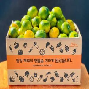 제주 농장 고당도 당도선별 타이백 감귤 10kg