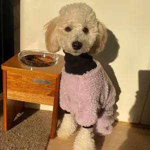 멀바우원목 애견식탁 높이 30cm 1구식탁 /각인서비스