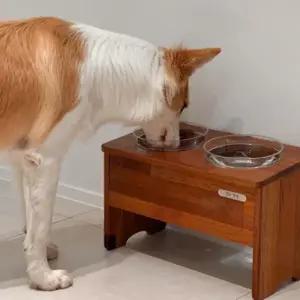 멀바우원목 애견식탁 높이 20cm 2구식탁 /각인서비스