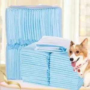 블루 애견 배변패드 위생 안심 강아지패드 S