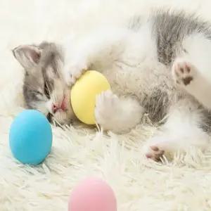 노즈워크 고양이 캣잎 혼자노는 공놀이 장난감공 블루