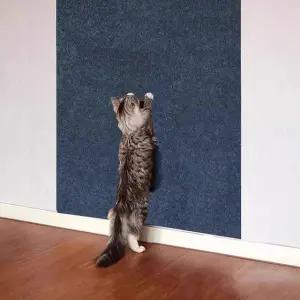 고양이 부착식 수직 카페트 스크래쳐 벽타냥 소파보호