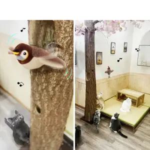 고양이 춤추는 참새  움직이는 장난감