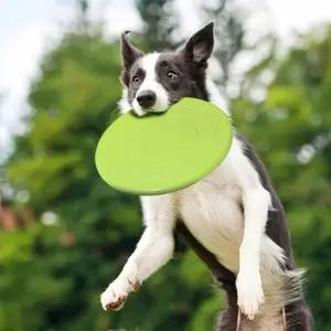 강아지 프리스비 원반 애견 훈련 장난감 레드