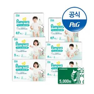 [오늘의딜]팸퍼스 2025 터치오브네이처 팬티형 기저귀 4 ~ 6단계 6팩 (총2박스)+스타벅스