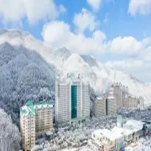 [강원] 소노벨 비발디파크 A(강원호텔/홍천호텔/홍천소노벨 비발디파크 A)