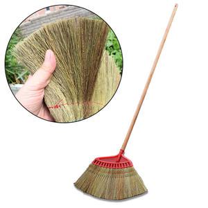 롱 니스자루 갈대비