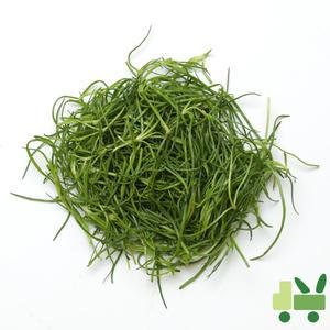 세발나물 (갯나물) 8Kg