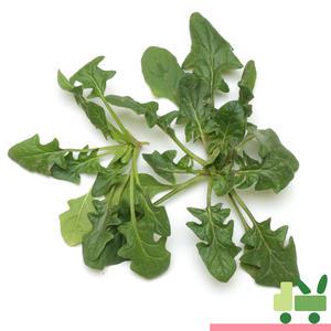 노지 시금치 4Kg