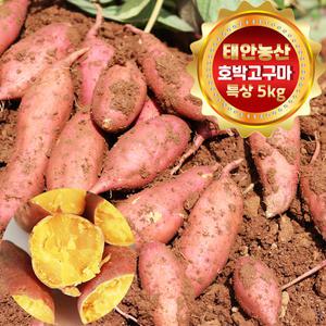 건강한 태안! 안면도 호박고구마 특상(100g~300g) 5kg (박스포함)