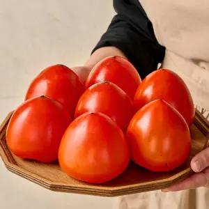 직접 익혀먹는 당도높은 대봉감 5kg/홍시