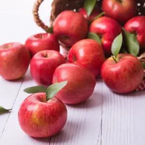 가정용 부사 사과 10kg 꼬마소과