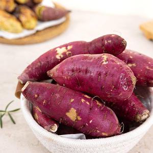 부드럽고 달콤한 꿀고구마 호박고구마 5kg/10kg(왕왕/왕특사이즈) 산지발송