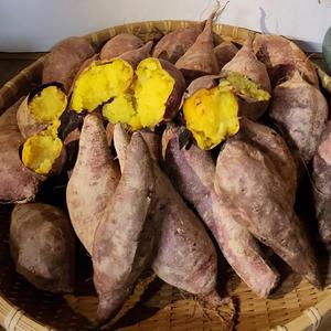 건강보장농장 자신있는 꿀고구마 5kg/10kg(특상중혼합)