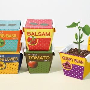 친환경 종이화분 에코팟/식물키트,화분,캐릭터패키지