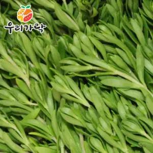 [우리가락]돌나물(돗나물,돈나물) 1kg