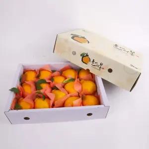 제주 한라봉 선물세트 4.5kg 대과 (부직포 포장)