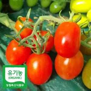 [첫출하특가] 유기농 대추 방울 토마토 1kg (500g x 2팩) 친환경