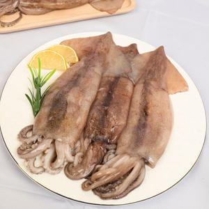 쫄깃한 손질 통오징어 260g(팩당 2미) x 3팩 총 6미 외