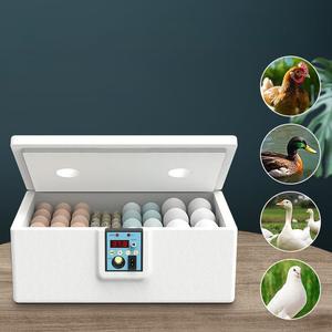 유정란부화기 알 부화용 닭 거위 앵무새 조류 오리 계란 부화 달걀