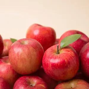 맛있는 주스용 사과 10kg 랜덤과