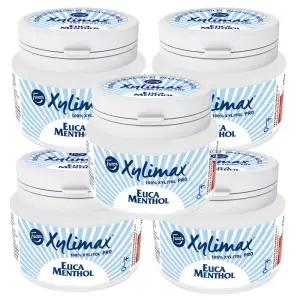 핀란드 직수입 고함량 자일리톨  유카멘톨 90g 5개묶음