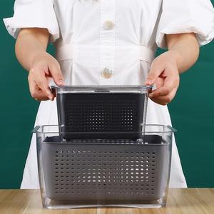 플라스틱용기 야채 냉장고보관용기 2종 용기 과일 채반 냉장고밀폐용기