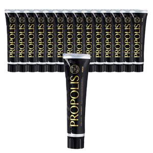 페리오 프로폴리스 치약 잇몸 구강 케어 160g 15개