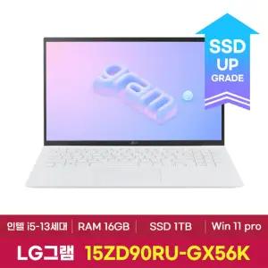 LG그램 15ZD90RU-GX56K / WIN11 / SSD 1TB 교체 / 재고보유
