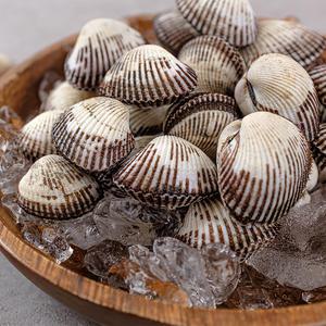 나씨네 해감 안해도되는 벌교 여자만 일대 조업 새꼬막(소)1kg(120미내외)