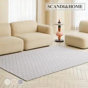 먼지없는 슬래시 루프 사이잘룩 러그 사계절 카페트 200x250 3colors