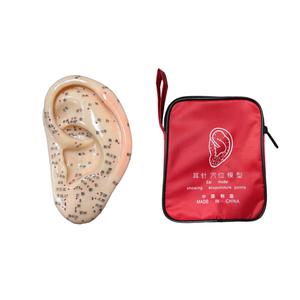 귀모형 인체 경혈 수지침 한의원 1개