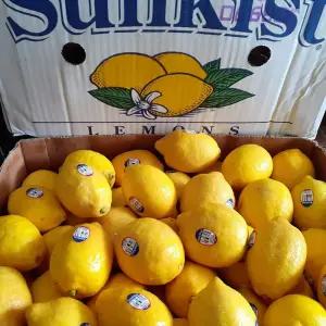 팬시 레몬 115과 대과 썬키스트 레몬 17kg 미국산 레몬 한박스 칠레산레몬 생레몬 신과일 미국레몬