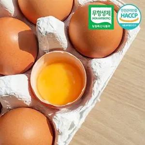 [자연맛남]HACCP인증 무항생제 농장직송 달걀 생계란 대란 30구 1판