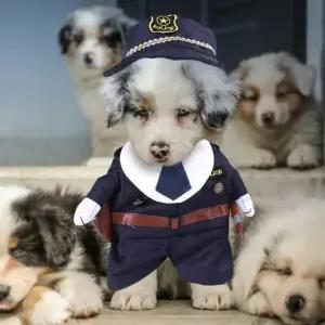 애견 코스튬 웃긴 코스프레 귀여운 할로윈 옷 강아지 (WFHT13H)