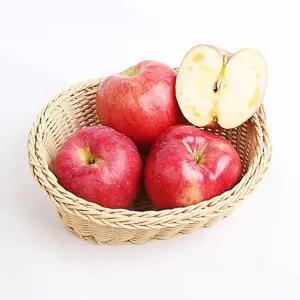 [잇담]경북 실속 가정용 사과 대과 3kg 6-10과