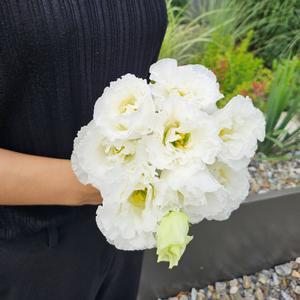 [꽃같은하루] 화이트 리시안셔스 꽃다발 생화 리시안서스 택배 주문