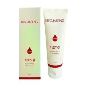 덴탈리스트 키토자생 잇몸 치약 100g 1개 / 써클