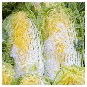 HACCP인증 아삭아삭 청정지역 강원도 인제 절임배추 20kg