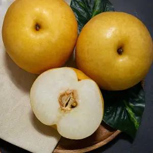 조치원 나주 배 5kg 5-9과 햇배 나주 신고배 꿀배 조치원 배 과일 배 성환배 상주배 제사상배 맛있는배