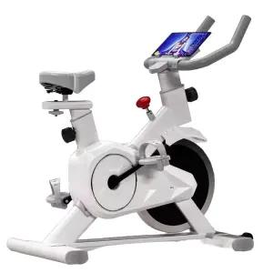 미니 실내 자전거 가정용 홈트 스피닝 바이크 접이식 유산소