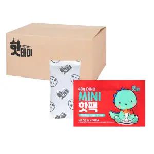 핫데이핫팩 다이노 미니형 40g X 100매