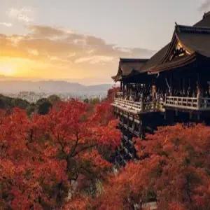 [부산][여유롭게 1일자유/시내VS온천호텔][교토 청수사/아라시야마/오사카 4일]