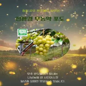 친환경 무농약 샤인머스캣 5kg