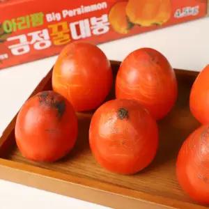 대봉감 홍시 곶감용 대봉시 10kg (31~40과) 중대과