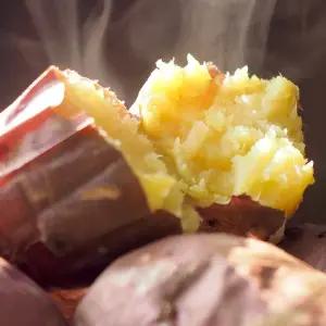 김의준 영암 세척 베니하루카 햇 황금 고구마 3kg 5kg 로얄사이즈만