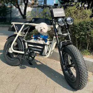 엑스트랙 몬스터 쿱 펫 PET 팻바이크 애견동승 자토바이 48V 바구니 전동 전기 자전거